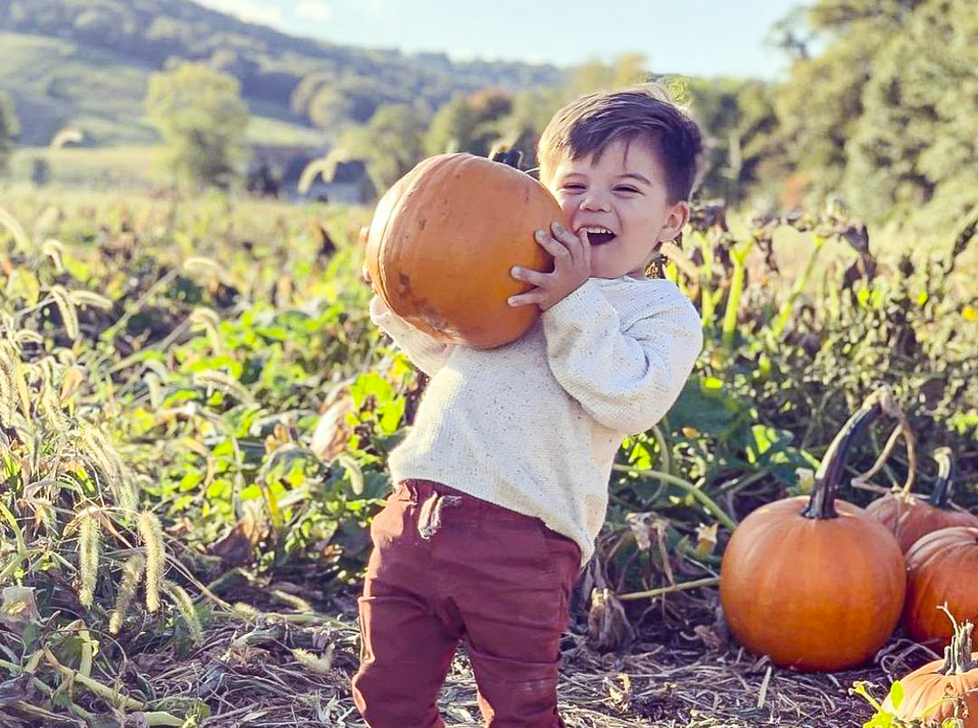 Pick the perfect pumpkin at Great Country Farms.