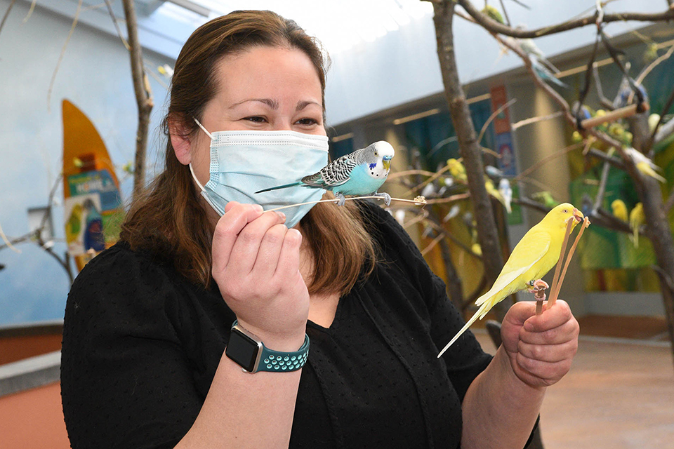 Things To Do on Mother’s Day in Chicago: Name a parakeet after mom!