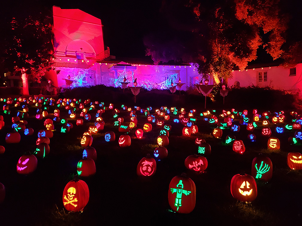 Nights of the Jack Is Now Open: Acres and acres of pumpkins