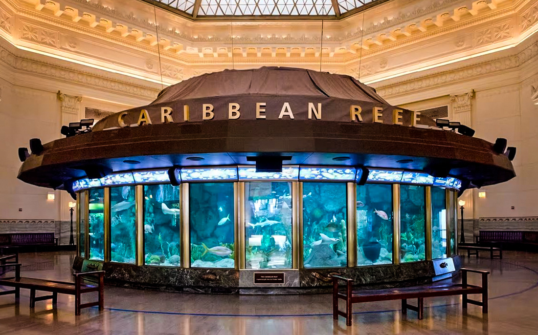 The Shedd Aquarium is located near other Chicago attractions.