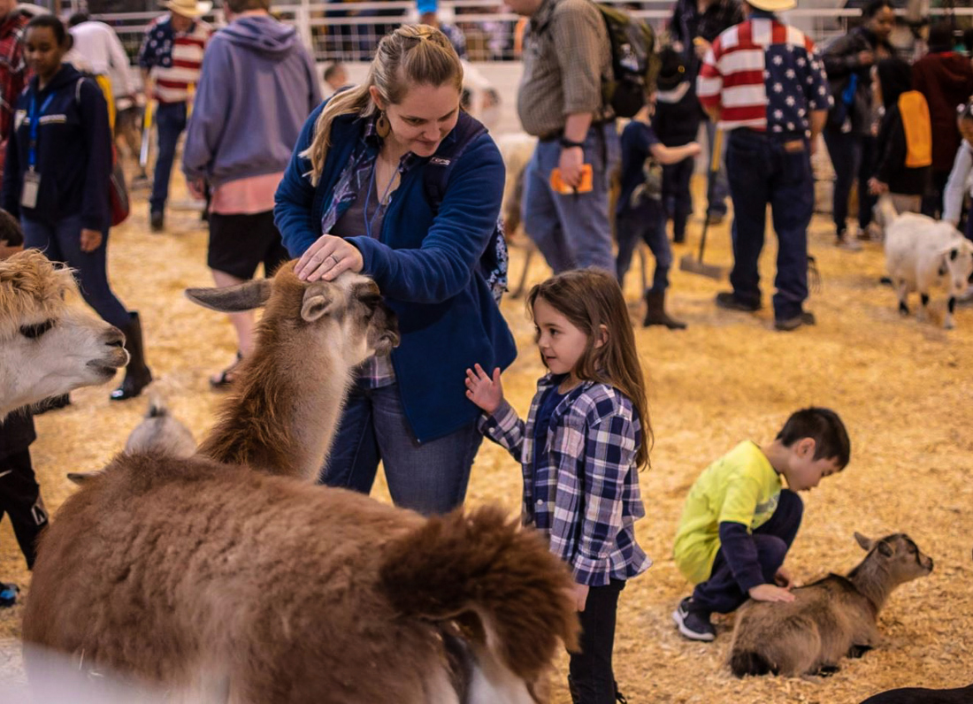 Houston Livestock Show and Rodeo