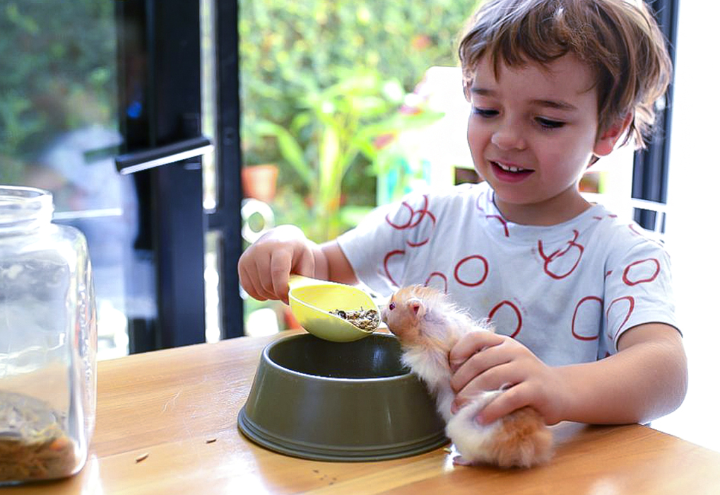 Chore Charts for Kids: Feeding pets