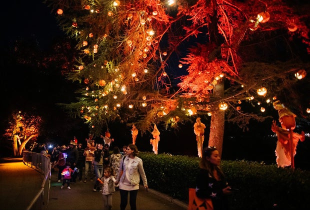 Nights of the Jack Is Now Open: The walking trail is for kids of all ages