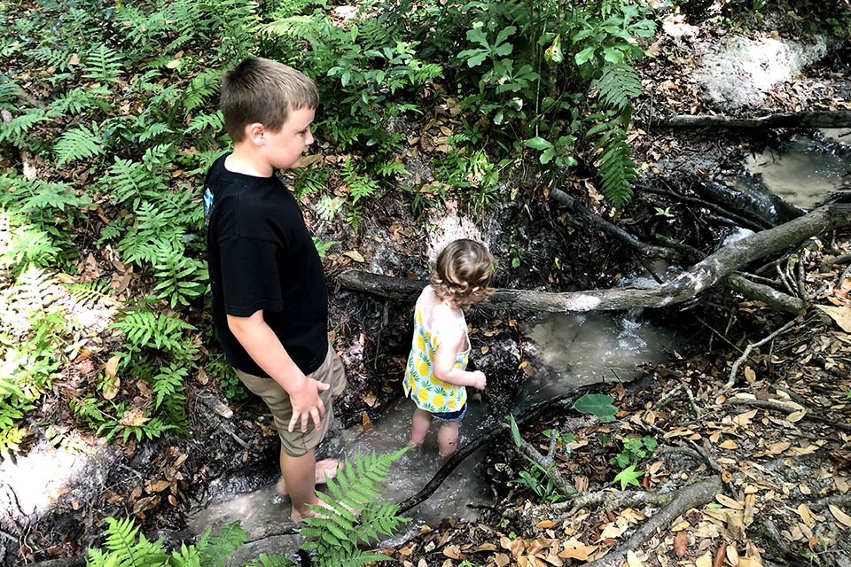 Hidden Waters Preserve: 100 Free Fun Things to Do in Orlando with Kids