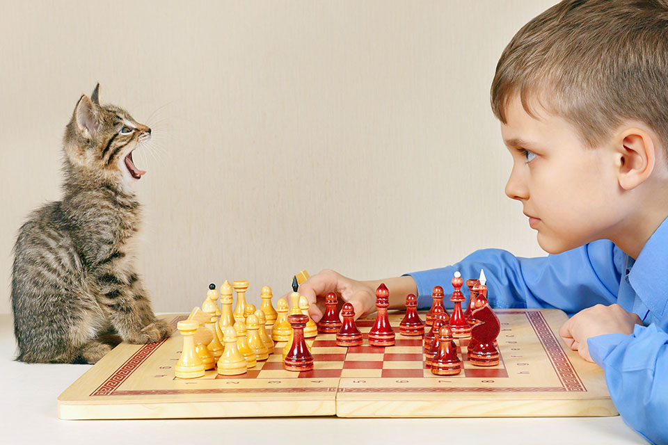 Fun Animal Facts For Kids: Cats talk to people, not other cats