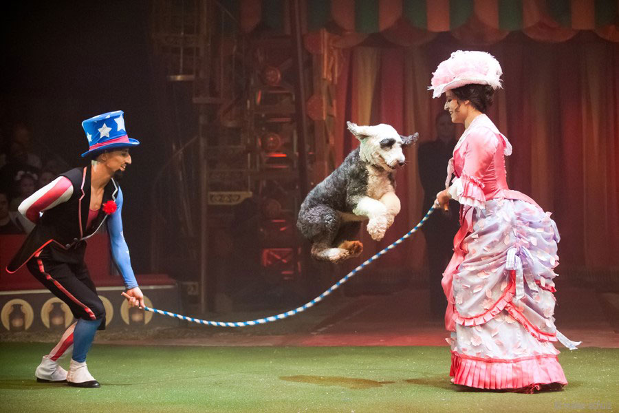 Photo courtesy of The Big Apple Circus 