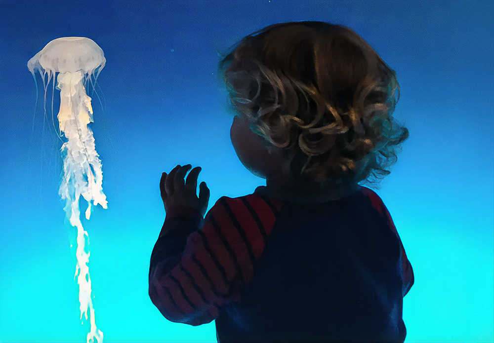 Take the kids out for some amazing sights and summer fun before school starts in Connecticut. Photo by Kylie Williams for Mommy Poppins.