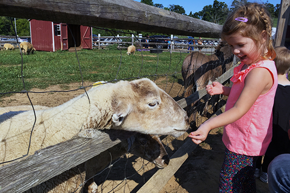 Visit the petting zoo at Alstede Farms for a chance to meet the animals. Photo by Rose Gordon Sala