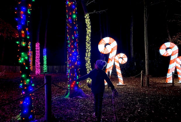 Wide view of the lights at The Village at Anne Ellen