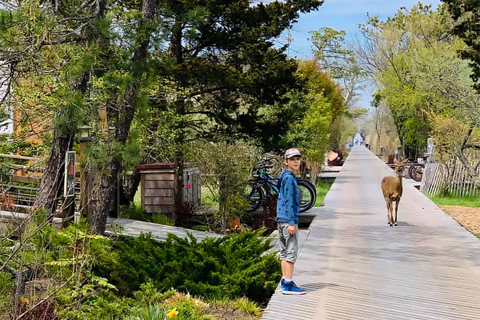 Fire Island Visiting Long Island with Kids: 3-Day Itinerary from a Local