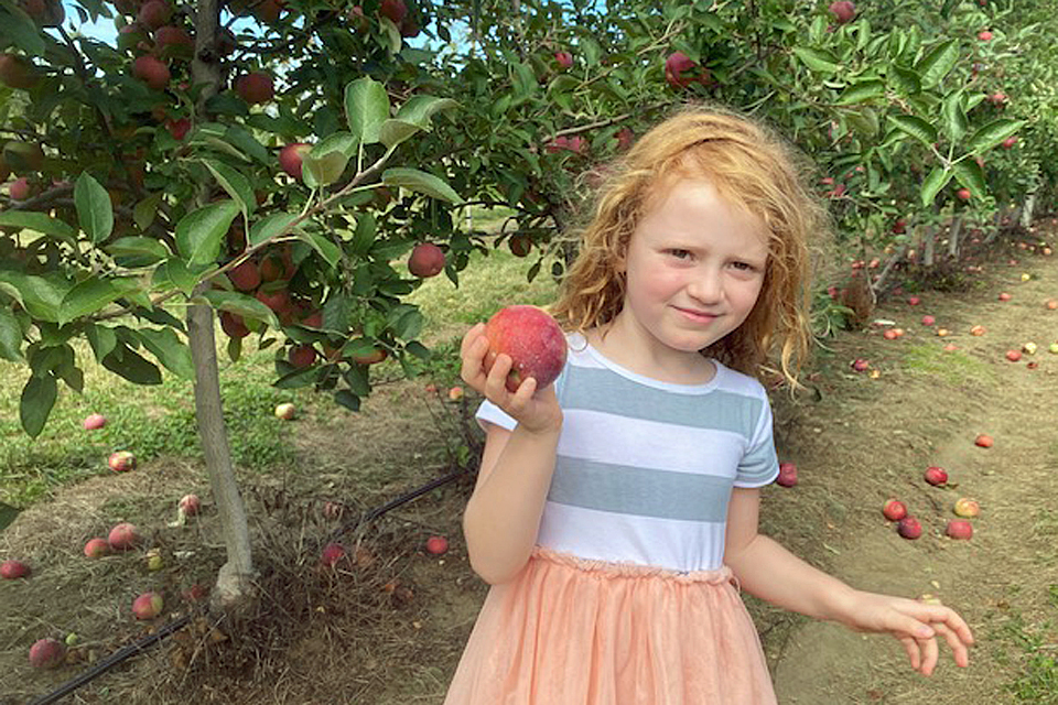 Head to Johnson's Locust Hill Farm for apple picking and tons of fall-themed fun. Photo by Lisa Warden