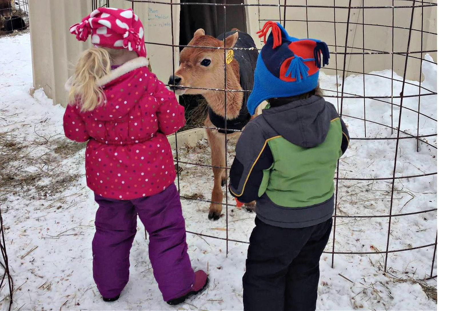 Image of kids with farm animals - Winter Day Trips from Boston