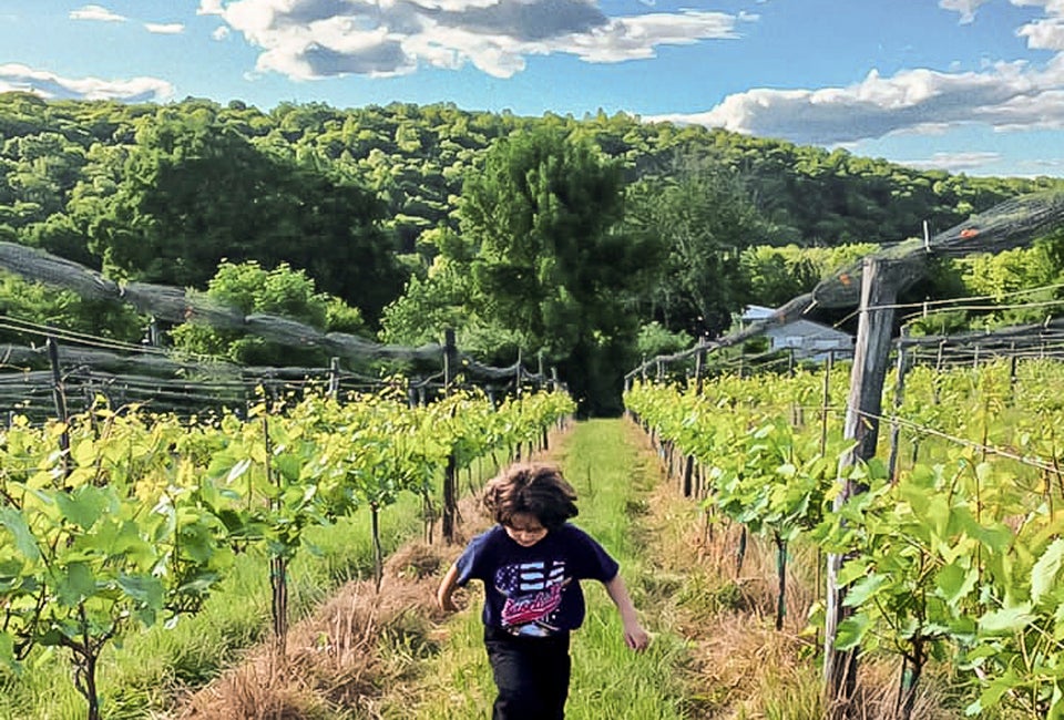 Run through the vineyards at Aquila's Nest. Photo courtesy of Aquila's Nest, Facebook