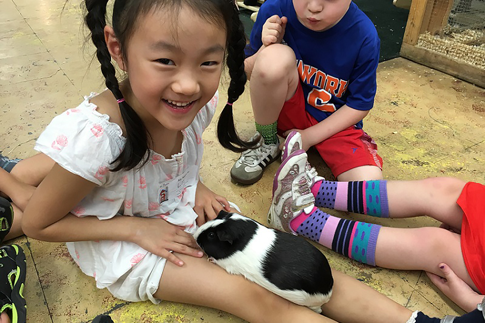 Best things to do on the Upper East Side with kids: The Art Farm in the City