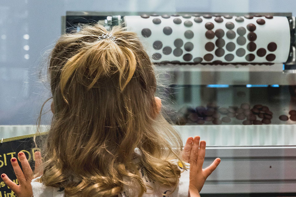 French Broad Chocolate Factory 