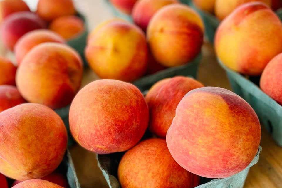 Fill your basket with Georgia Peaches at Dickey Farms. Photo courtesy of the farm