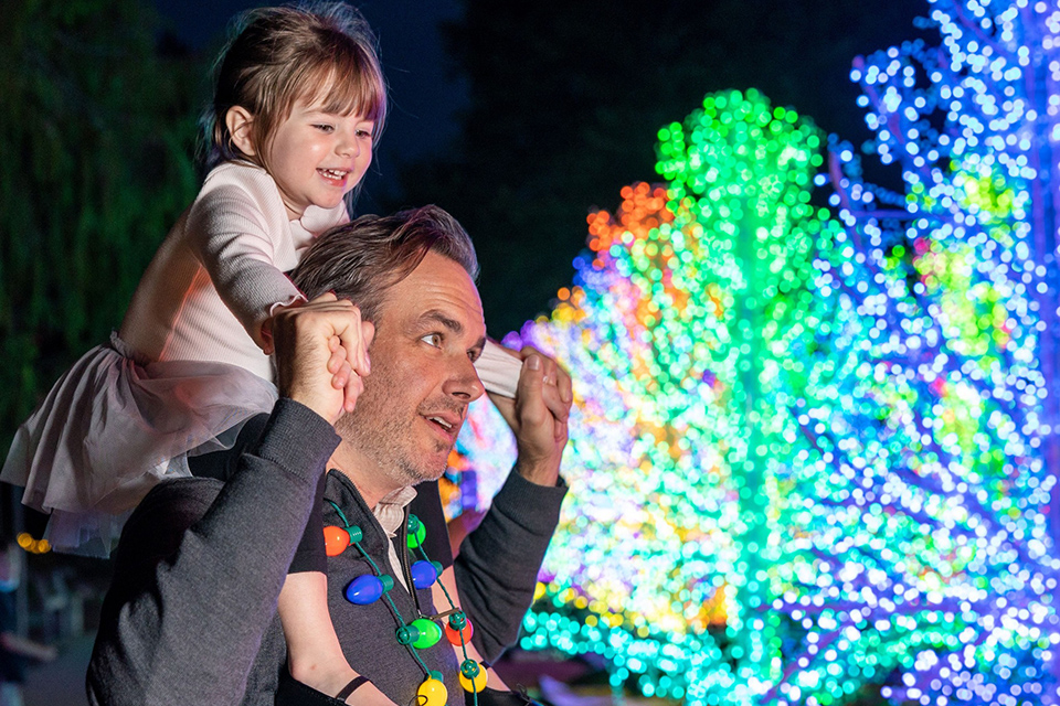 Garden Lights, Holiday Nights at the Atlanta Botanical Garden is a magical winter spot. Photo courtesy of the garden