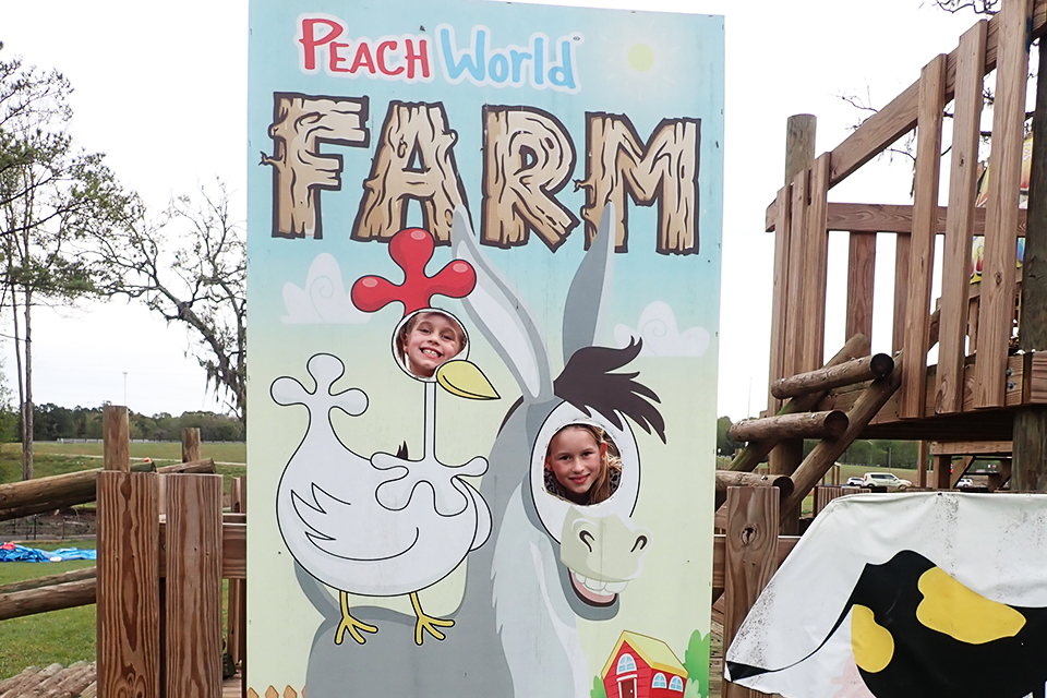Take a fun-filled break from the drive along I95 and let loose at the ultimate rest stop: Georgia Peach World Farm.