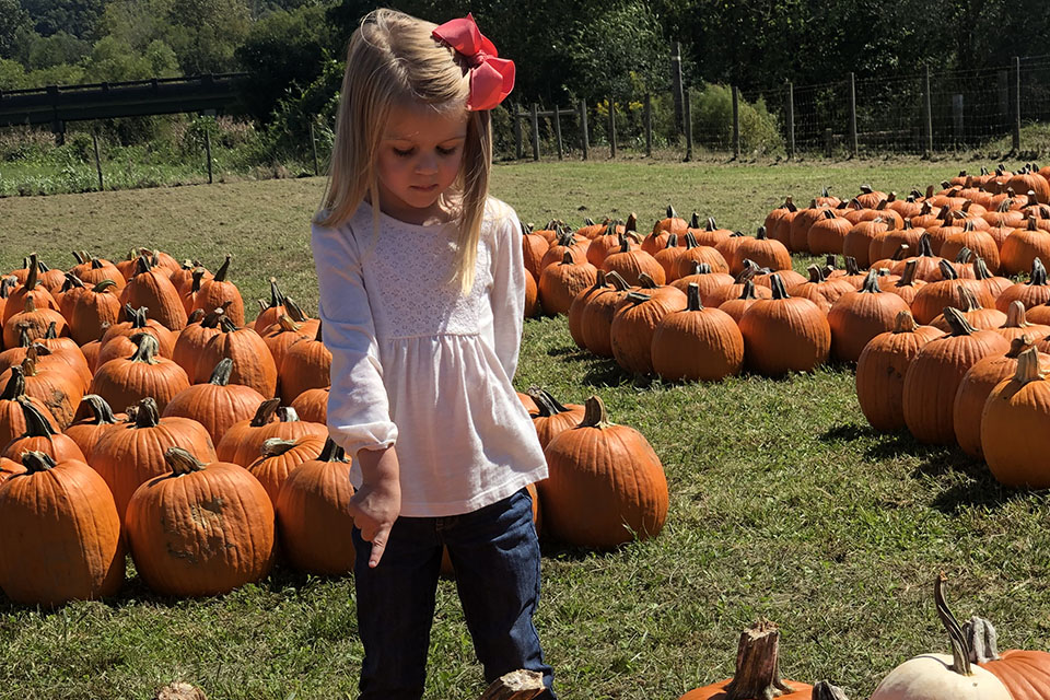 Uncle Shuck’s Corn Maze and Pumpkin Patch
