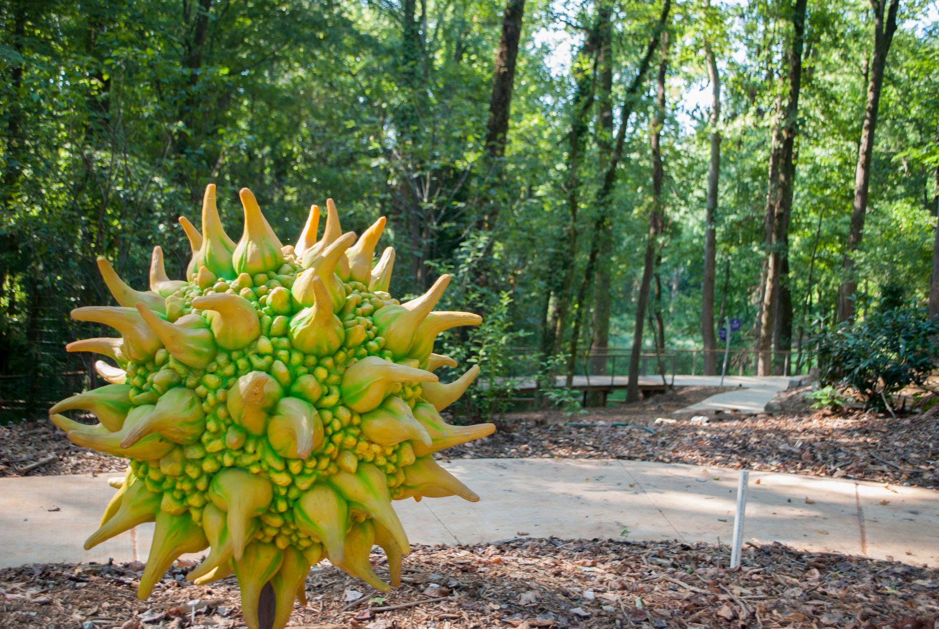Wildwoods at Fernbank Stroller Friendly Trails in Atlanta