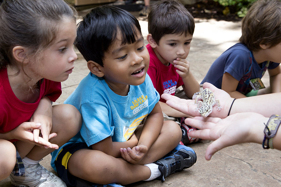 The Best Things to Do and See at Zoo Atlanta with Kids: reptiles