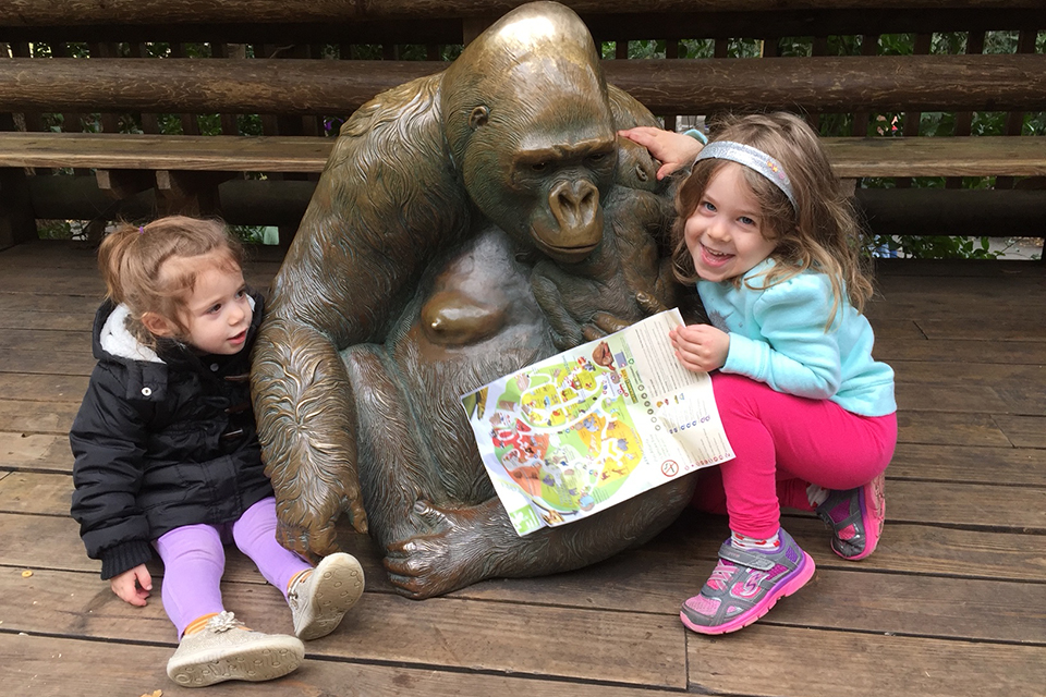 The Best Things to Do and See at Zoo Atlanta with Kids