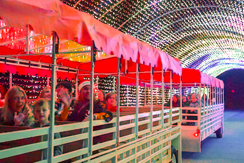 Atlanta open on Christmas Day: Callaway Gardens Fantasy In Lights