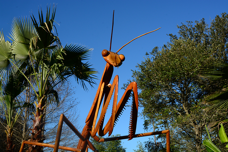 100 Fun Things To Do in Atlanta with Kids Before They Grow Up: : Fernbank Museum