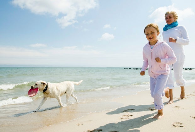 Dog-Friendly Beaches Near Los Angeles: Head a little further to San Deigo or Santa Barbara County