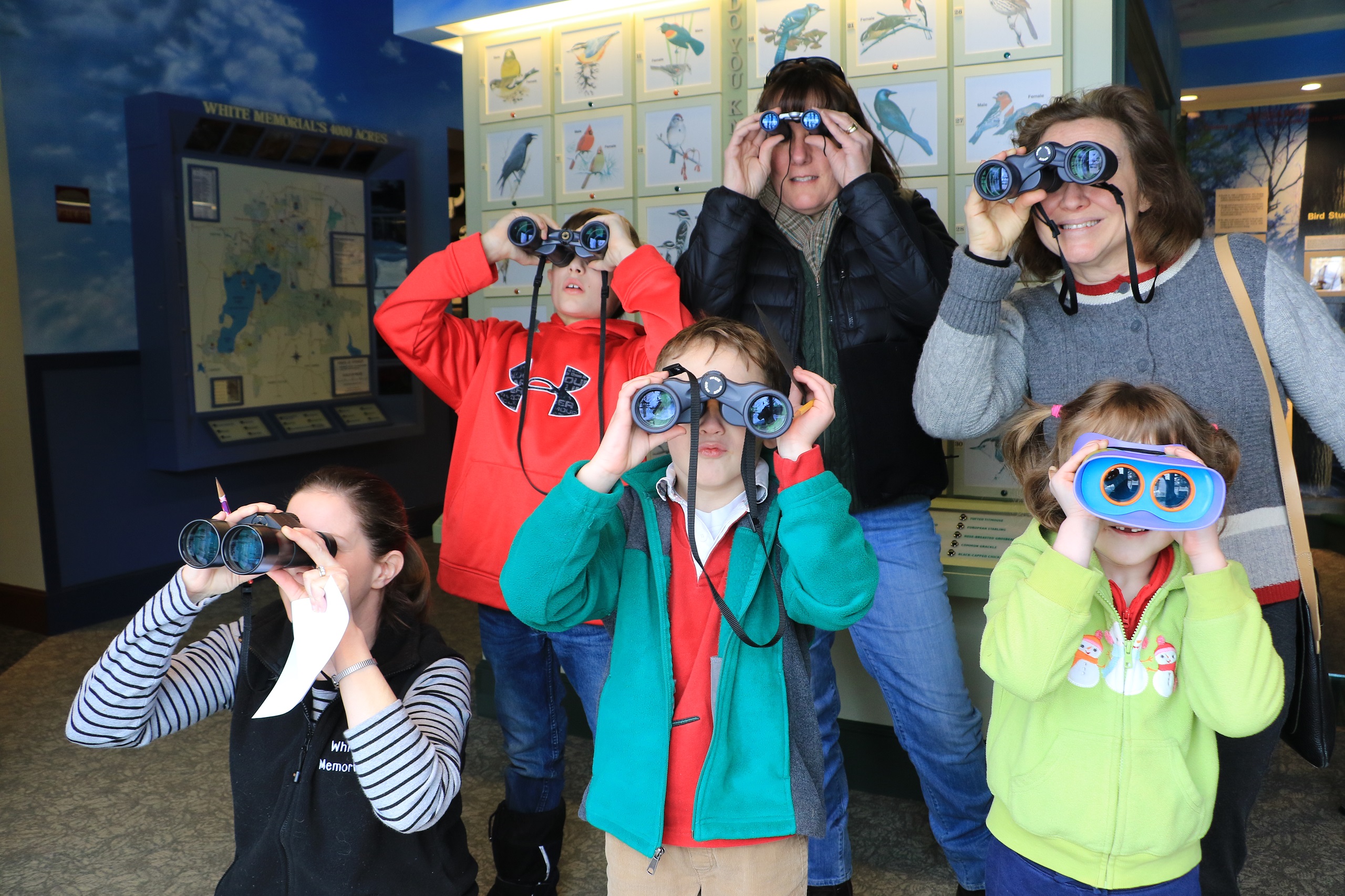 Go birdwatching at the White Memorial Conservation Center's observation deck. Photo by Marlow Shami/WMCC