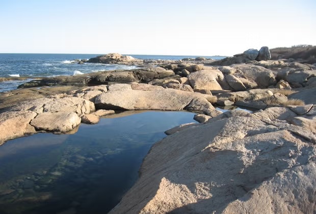 Image of tidal pools in Narragansett, Rhode Island