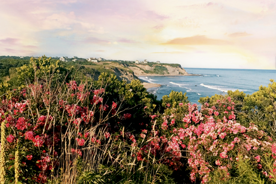 Wander the trails near the cliffs  on Block Island. 
