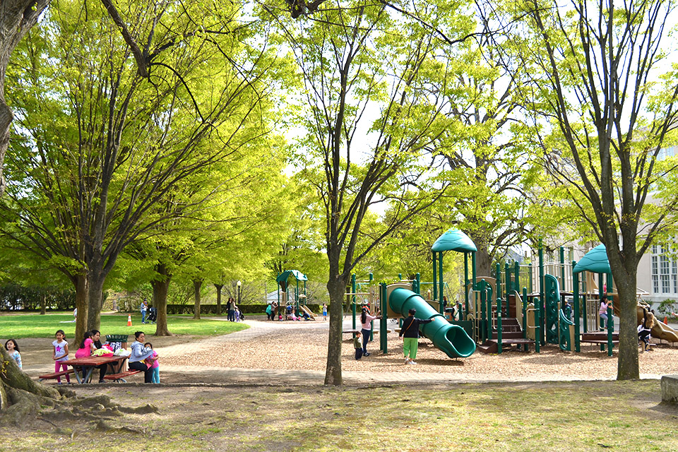 Kids love the playground at Port Washington's Blumenfeld Family Park. Photo courtesy of the Town of North Hempstead
