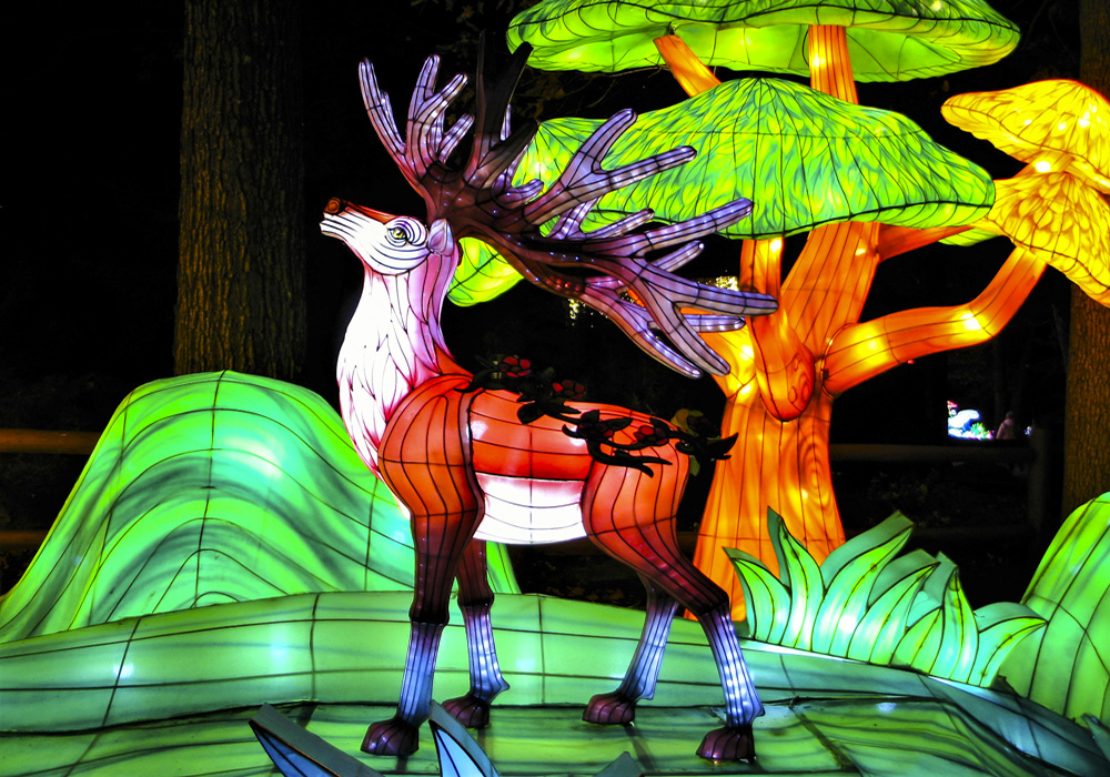 Things are lighting up with these must-do Christmas events around Boston in 2025! Festival of Illumination at the Southwick Zoo. Photo by Heart Lover 1717/ Flickr  2.0