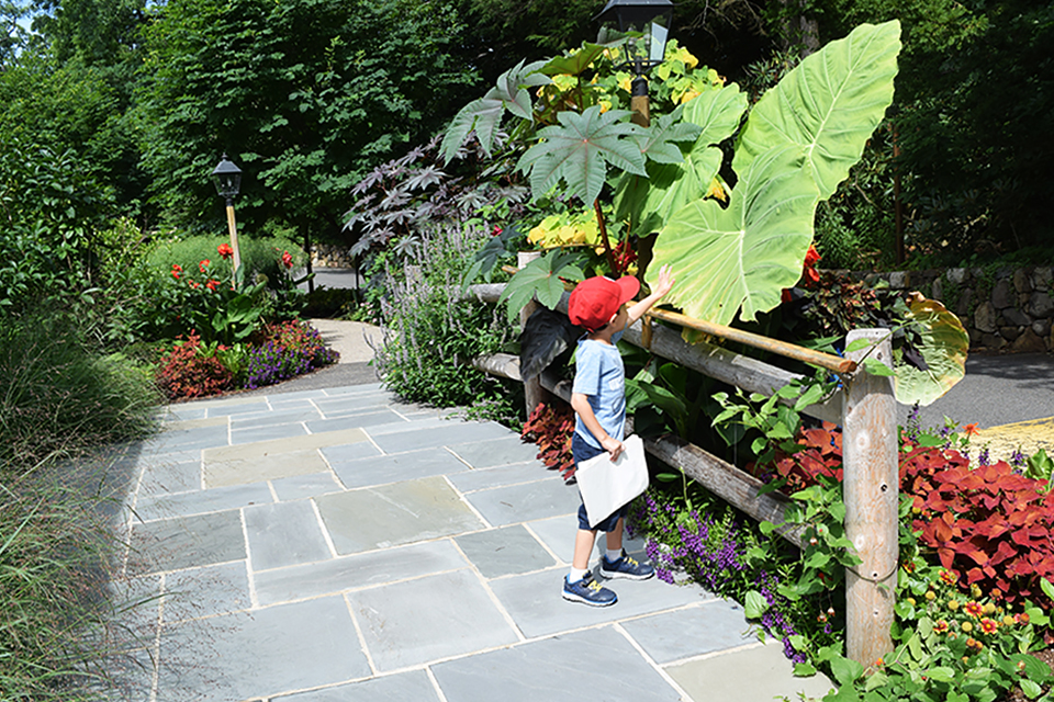 Kids and grown-ups alike will love exploring the lush gardens at Reeves-Reed Arboretum. 