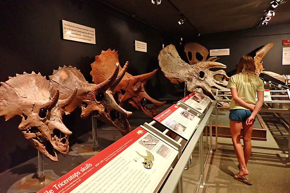 Museum of the Rockies: Bozeman with Kids