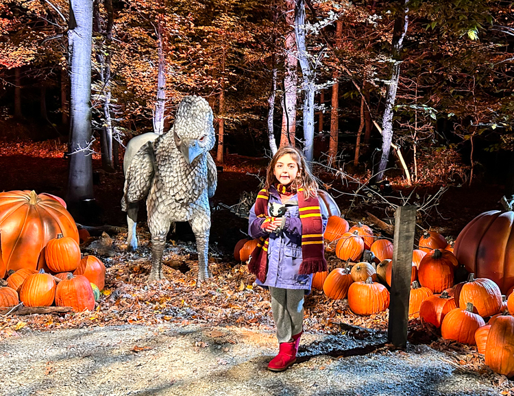 Harry Potter: A Forbidden Forest Experience: Buckbeak