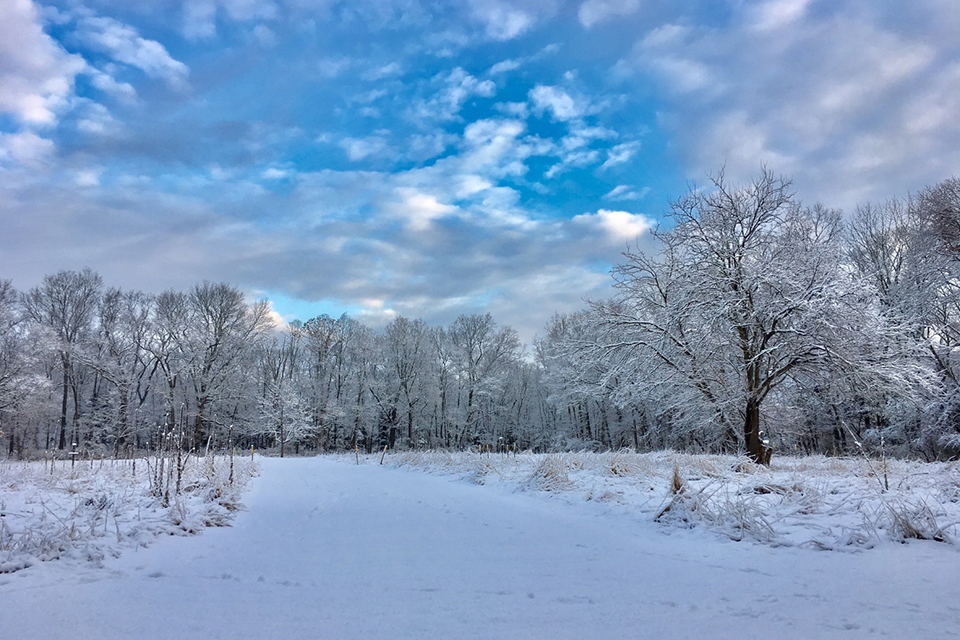 Explore the snow-covered cross-country skiing trails of Caleb Smith State Park
