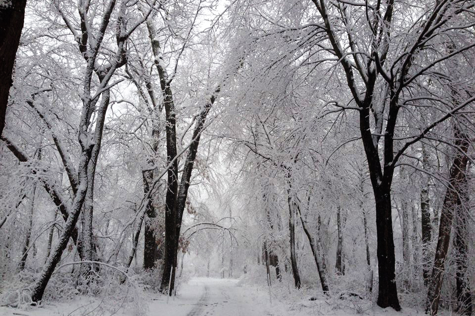 Caleb Smith State Park Cross-Country Skiing Near NYC