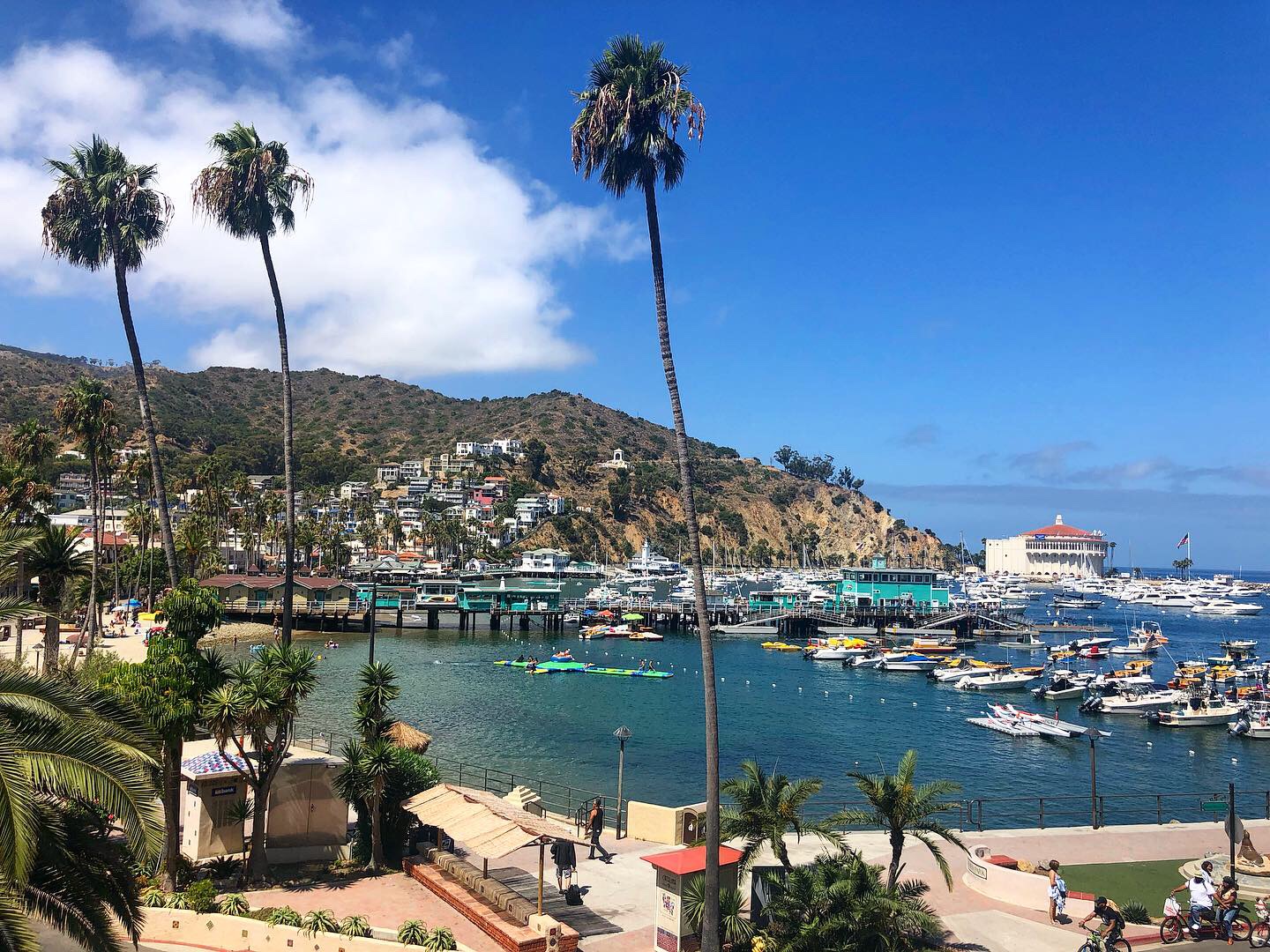 Road Trips from Los Angeles for Families: Catalina Island