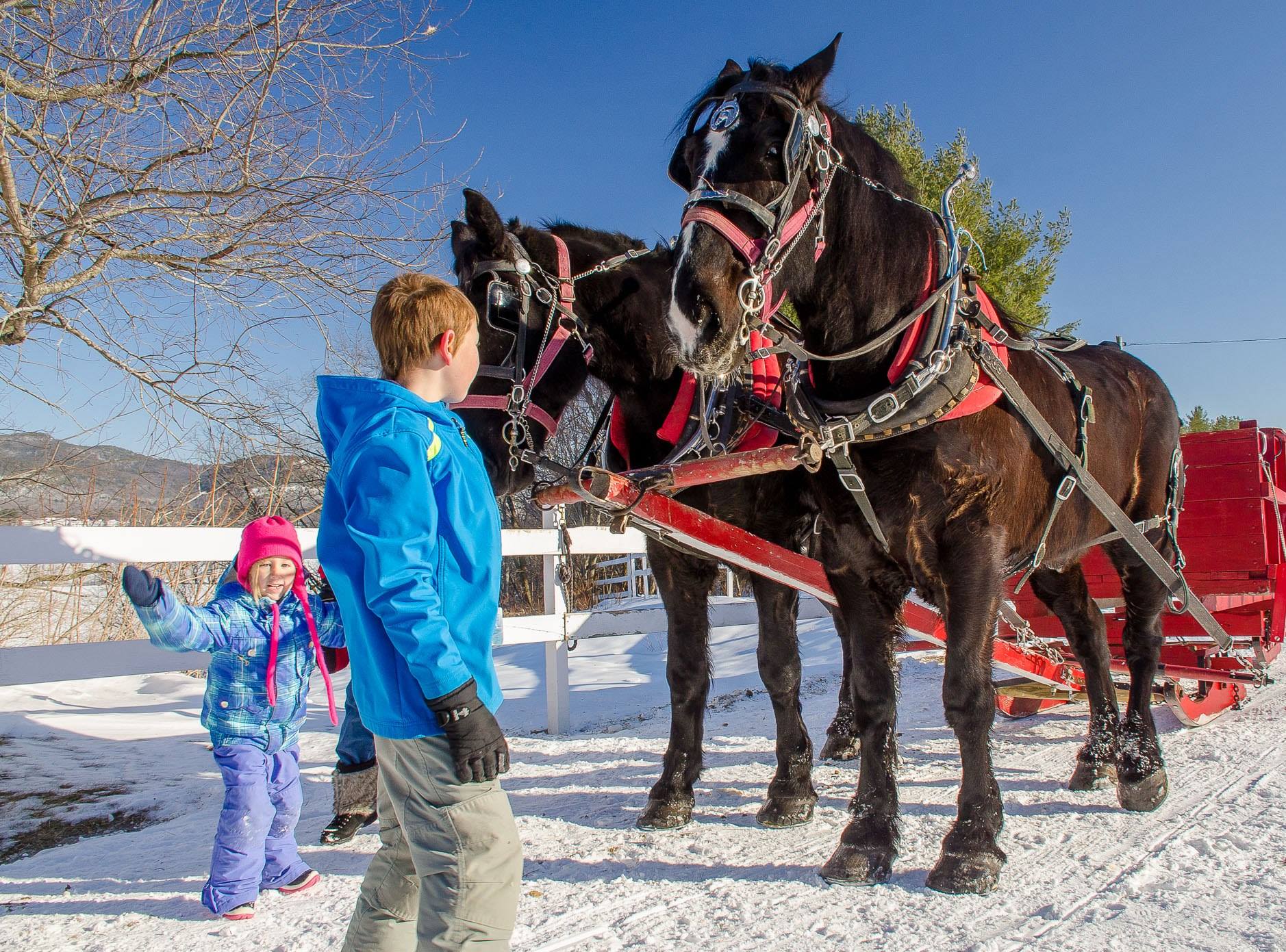 Image of children before a Christmas horse-drawn sleigh