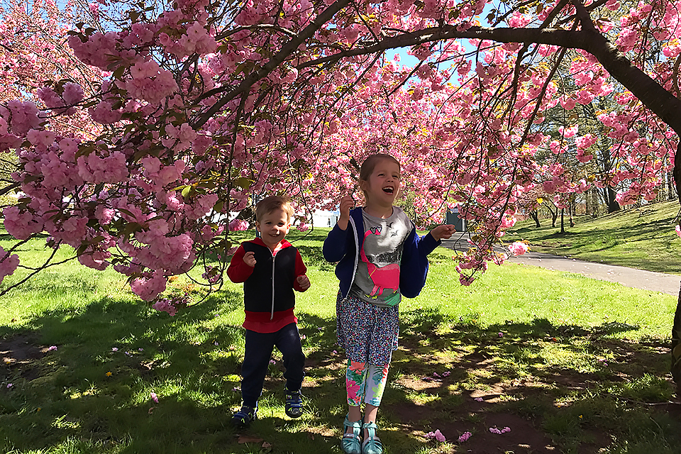 Two smiling kids playing among the cherry trees cherry blossoms at Branch Brook Park