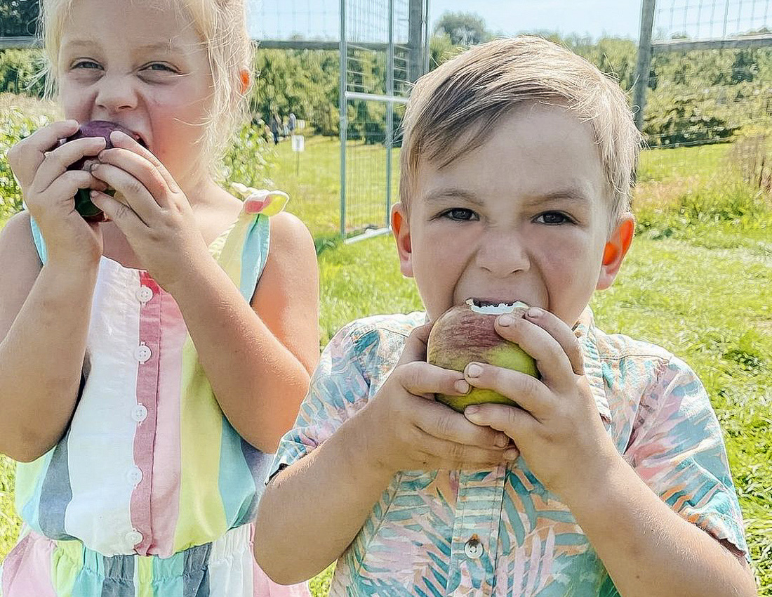 Image of children eating apples at an apple orchard near Boston