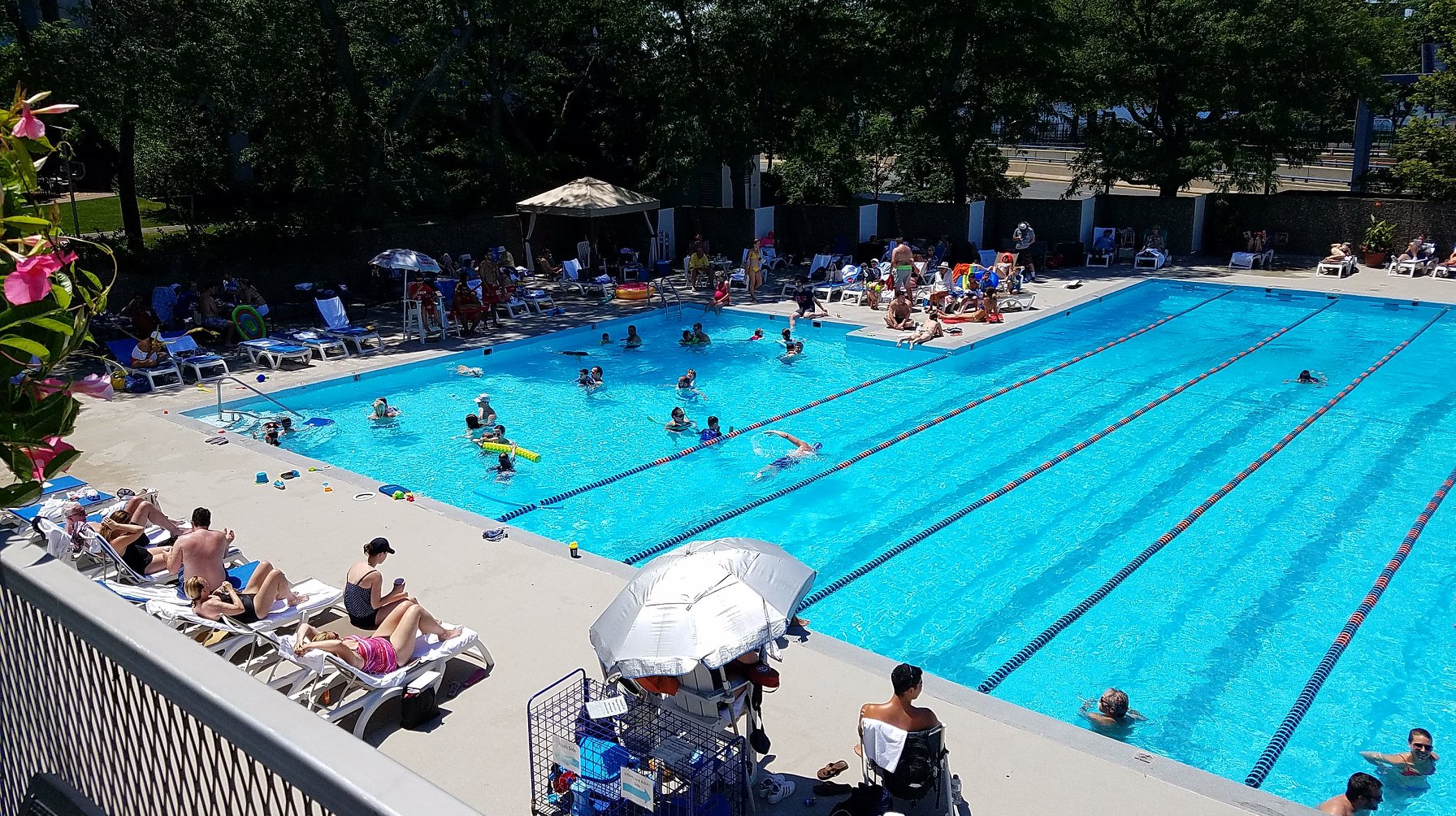 Photo of massive outdoor swimming pool- Swimming Pools and Spraygrounds