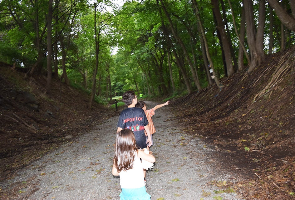Keep your eyes peeled as you traverse the Columbia Trail. Wildlife real and imagined call the edges of this hiking trail home.