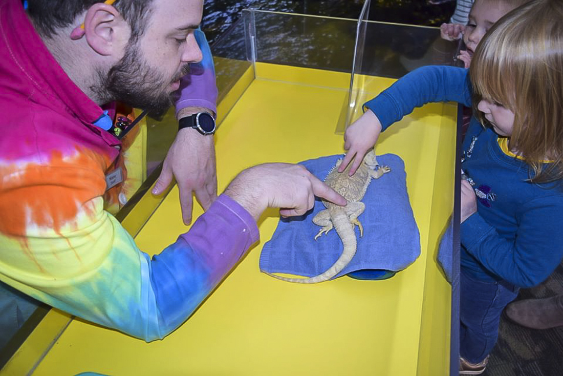 On sensory-friendly days, kids can enjoy activities with a quieter, calmer touch. Photo courtesy of the Connecticut Science Center