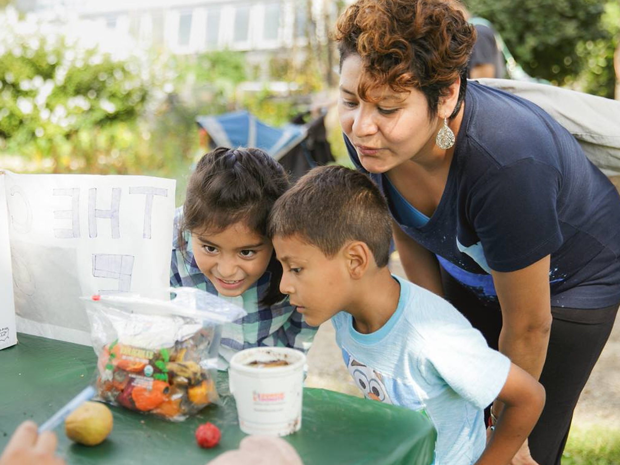 See spring blooms at the Garfield Park Conservatory