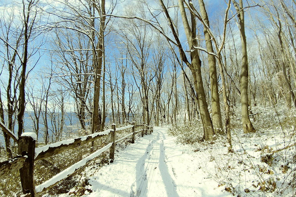 cross country skiing Garvies Point Museum & Preserve in Glen Cove.