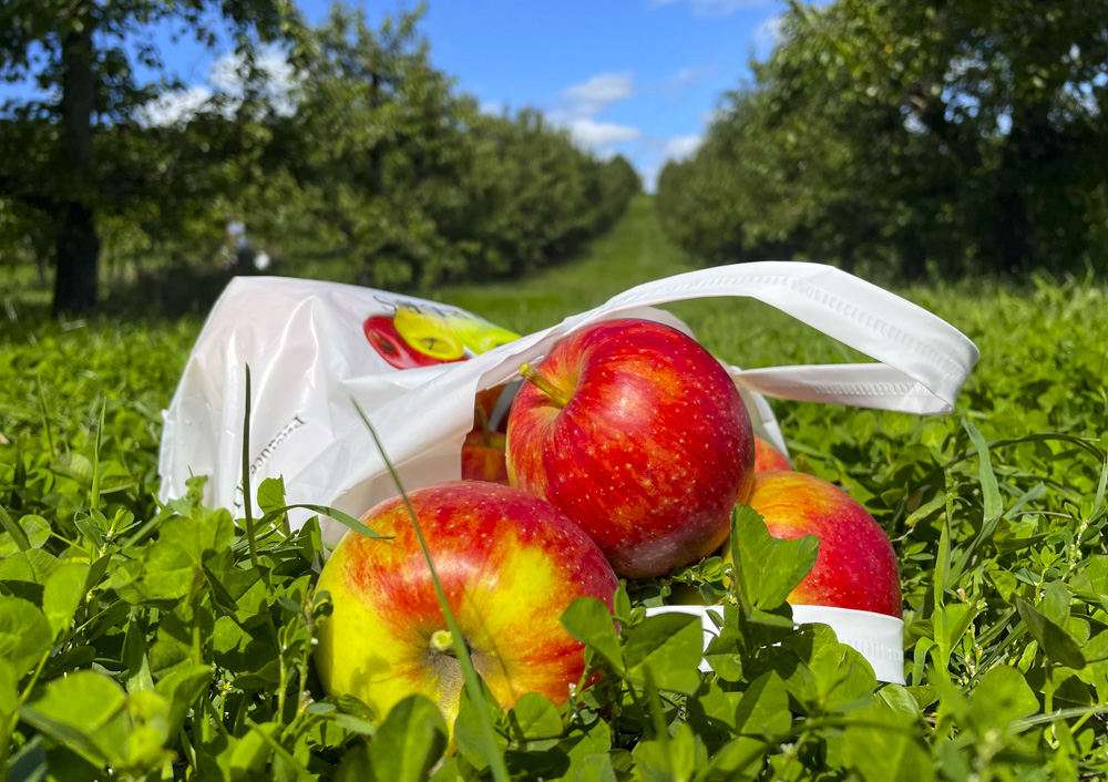 Image of bag of apples - Farm Fun at Lyman Orchards