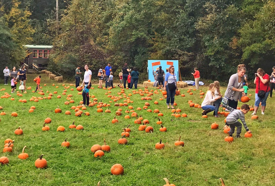 Take a train to the pumpkin patch! Photo courtesy of Connecticut Trolley Museum